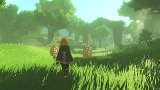 Hyrule Warriors: Age of Imprisonment – Spielszene 1